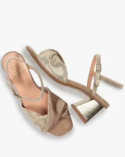 Cassi 02.02